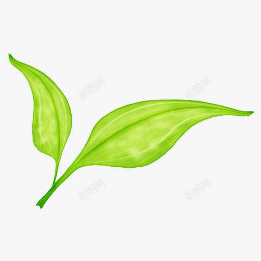绿色叶子清晰图标png_新图网 https://ixintu.com 叶子 图标 清晰 绿色