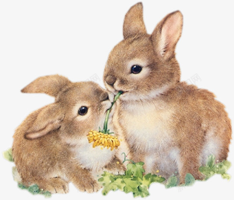 兔子png免抠素材_新图网 https://ixintu.com 兔子 动物 田园 野兔