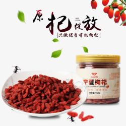 苍蝇蚂蚁实物养生枸杞高清图片
