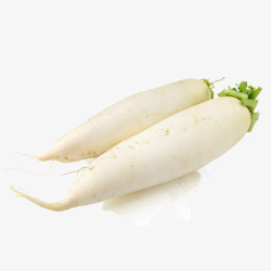蔬菜白萝卜两个白色萝卜高清图片
