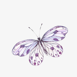 淡紫色的蝴蝶素材