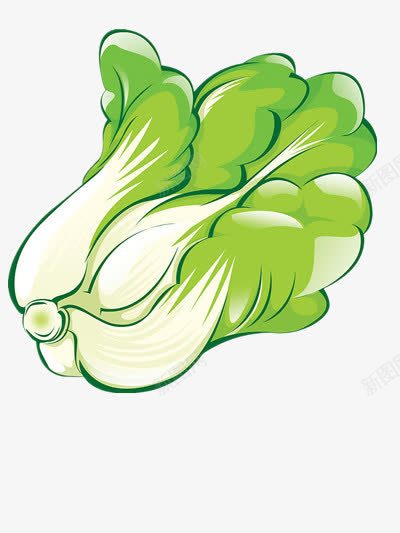 绿色的大白菜png免抠素材_新图网 https://ixintu.com 健康 绿色 营养 蔬菜
