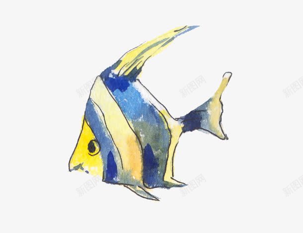 彩色条纹鱼png免抠素材_新图网 https://ixintu.com 手绘 斑马鱼 条纹 蓝色 鱼 黄色