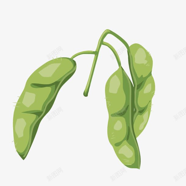 豌豆手绘png免抠素材_新图网 https://ixintu.com 卡通 手绘 绘图 豌豆
