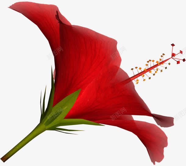 唯美背景花朵png免抠素材_新图网 https://ixintu.com 卡通鲜花 抽象花朵 抽象鲜花图片 花朵 花束 鲜花