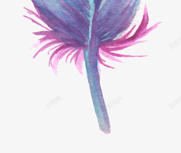 紫色羽毛png免抠素材_新图网 https://ixintu.com 动物羽毛 彩色羽毛 水彩羽毛 紫色