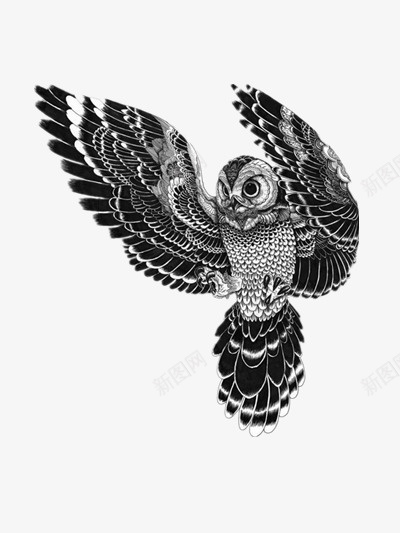猫头鹰png免抠素材_新图网 https://ixintu.com 展翅 猫头鹰 绘画 黑白