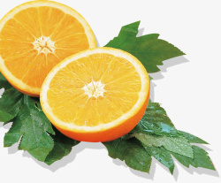 美味水果橙子素材