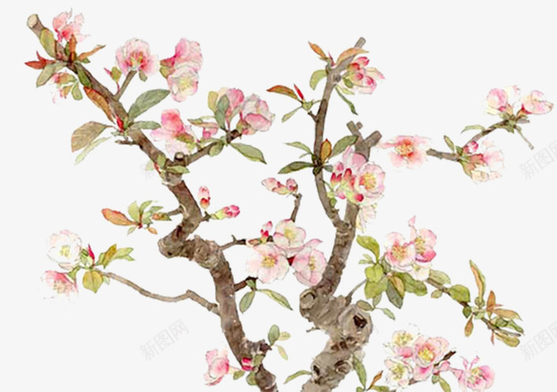 粉色桃花psd免抠素材_新图网 https://ixintu.com 叶子 桃花 植物 粉色