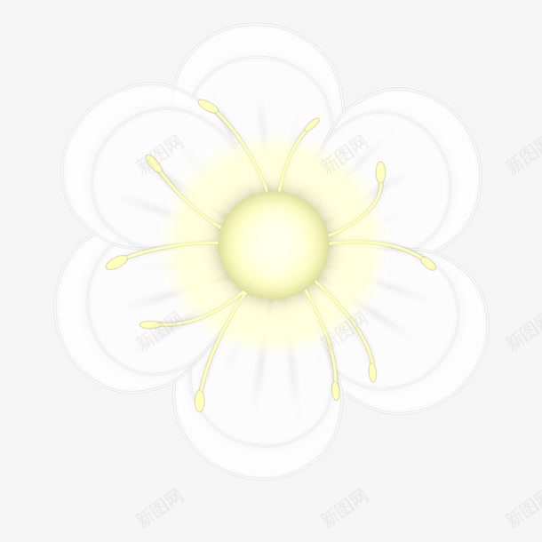 白色花瓣png免抠素材_新图网 https://ixintu.com 植物 花朵 花束 黄色花蕊
