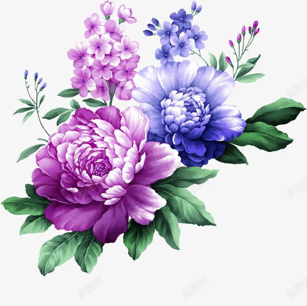彩色手绘花朵植物装饰png免抠素材_新图网 https://ixintu.com 彩色 植物 花朵 装饰
