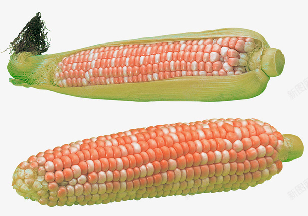 富有营养的粘玉米psd免抠素材_新图网 https://ixintu.com 富有营养的 新鲜食物素材 粘玉米素材 绿色玉米皮