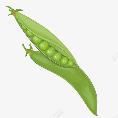 绿色豌豆图标图标