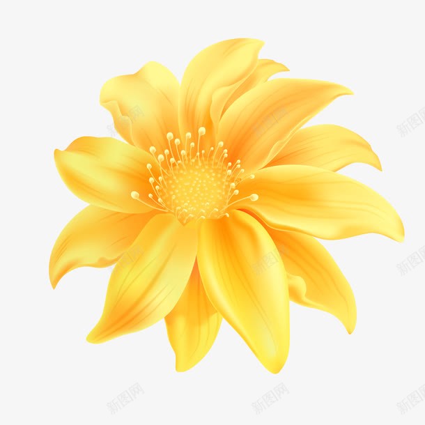 黄色的花瓣装饰图案png免抠素材_新图网 https://ixintu.com 图案 图案装饰 花瓣 花瓣装饰 黄色