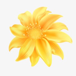 黄色的花瓣装饰图案素材