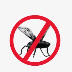 禁令禁止苍蝇虫子素材