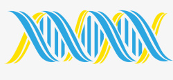 双螺旋基因链彩色双螺旋基因链矢量图高清图片
