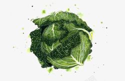 水彩白菜素材