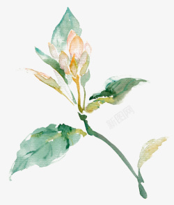 彩绘叶子彩绘植物高清图片