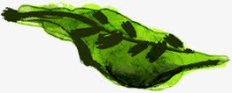 创意合成绿色水彩的树叶png免抠素材_新图网 https://ixintu.com 创意 合成 树叶 水彩 绿色 设计