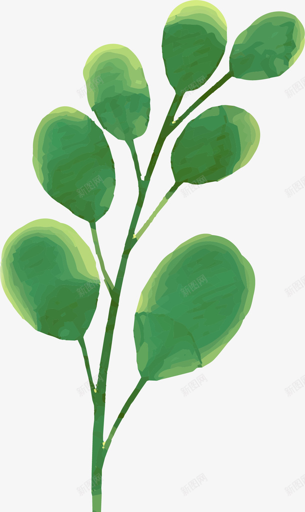 手绘创意水彩植物叶子png免抠素材_新图网 https://ixintu.com 卡通手绘 叶子 植物 水墨 水彩 绿叶 绿色 装饰