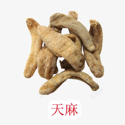 中药天麻png免抠素材_新图网 https://ixintu.com 中药 中药天麻 天麻 天麻图片