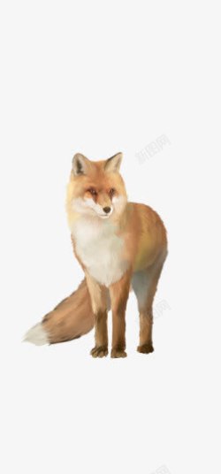 站立的狐狸手绘海报背景素材