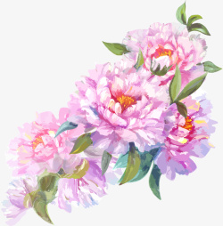 彩色花束花朵素材