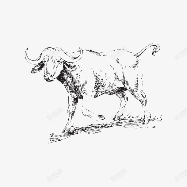 素描动物png免抠素材_新图网 https://ixintu.com 动物 手绘动物 牛 素描 素描动物