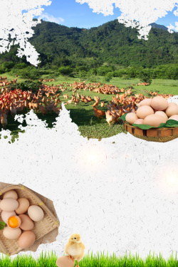 纯种农场农家土鸡蛋美味餐饮海报背景高清图片