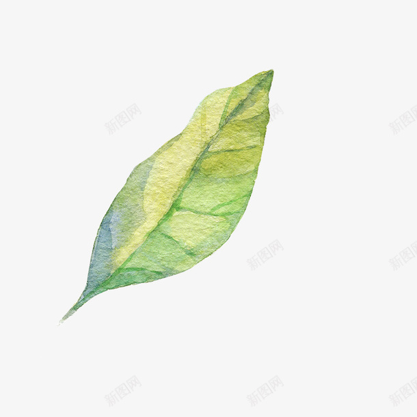 卡通手绘绿色的叶子png免抠素材_新图网 https://ixintu.com 创意 卡通手绘 树叶 水彩 绿叶 绿色的叶子