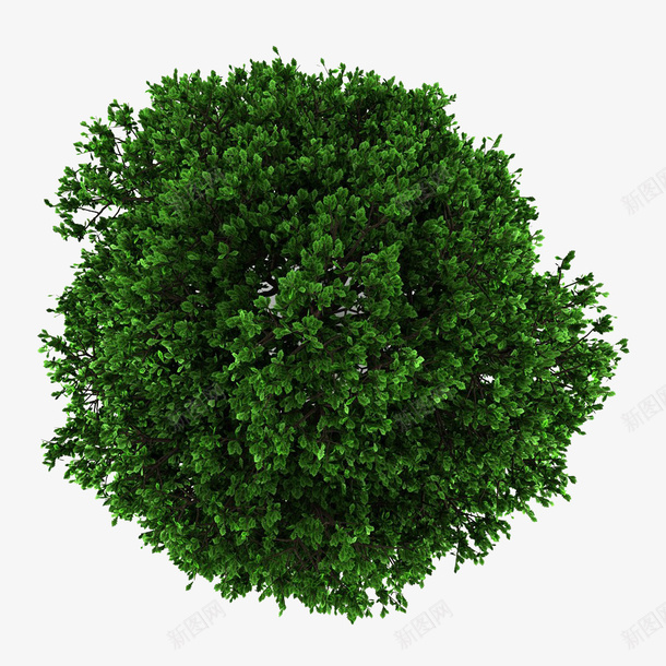 树冠png免抠素材_新图网 https://ixintu.com 树 树俯视图 树叶 树头 绿色 装饰素材