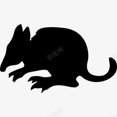 袋鼠的哺乳动物的轮廓侧面图标图标