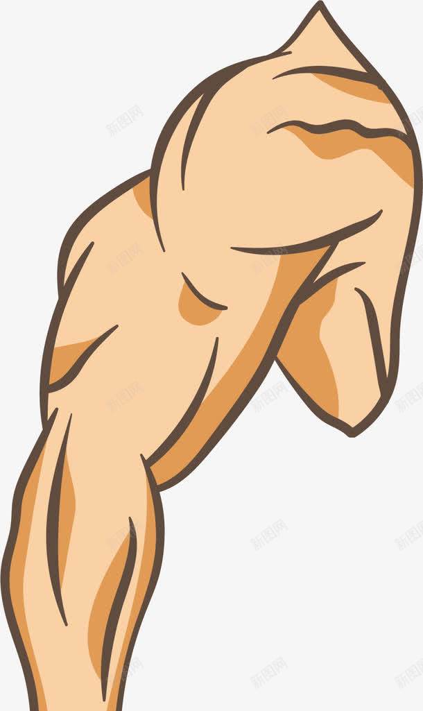 强壮有力量的右臂png免抠素材_新图网 https://ixintu.com 上臂 健身 健身教练 减肥塑形 强壮 手臂 有力量 肌肉