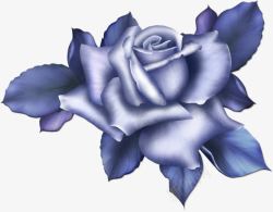 蓝玫瑰装饰蕾丝花朵素材