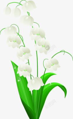 白色卡通铃兰花朵素材