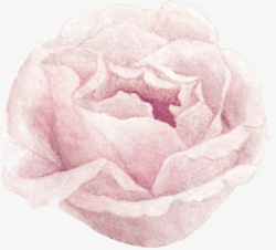 手绘粉色小清新花朵图素材