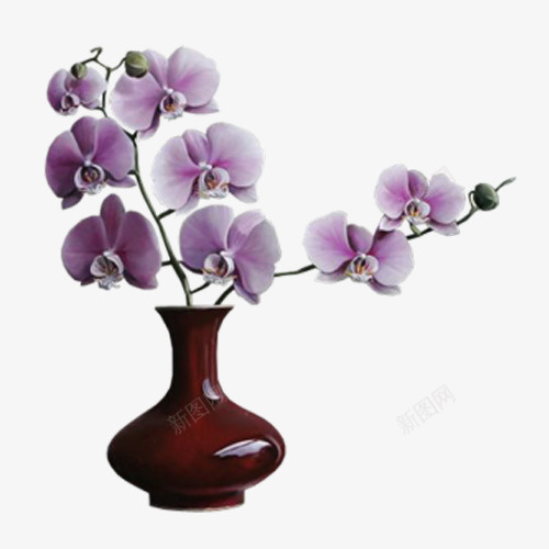 创意花瓶png免抠素材_新图网 https://ixintu.com 紫色花朵 花瓶
