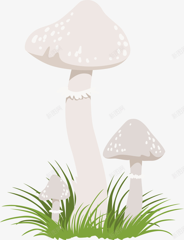 一朵白色蘑菇矢量图eps免抠素材_新图网 https://ixintu.com 一朵蘑菇 白色 白色蘑菇 矢量蘑菇 蘑菇 蘑菇PNG 矢量图