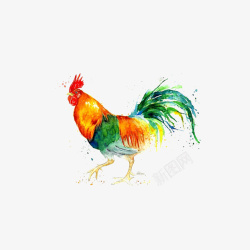 水彩画动物鸡素材