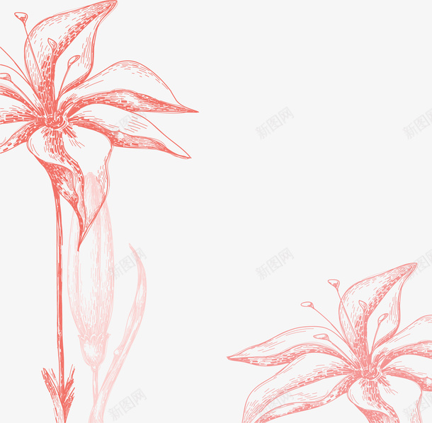 手绘粉色素描花朵图案png免抠素材_新图网 https://ixintu.com 图案 手绘 粉色 素描 花朵