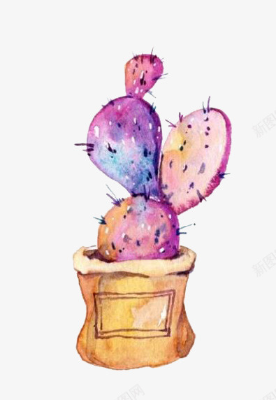 彩色仙人掌png免抠素材_新图网 https://ixintu.com 仙人掌 卡通 彩色 手绘 植物 水彩 紫色