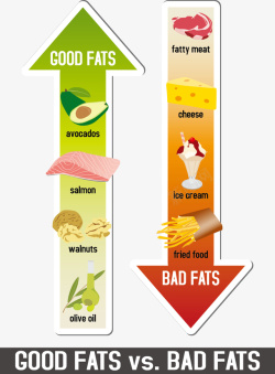 健康食物和垃圾食物图表矢量图素材