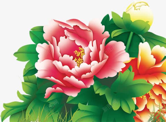 精美卡通彩色花朵植物png免抠素材_新图网 https://ixintu.com 卡通 彩色 植物 精美 花朵