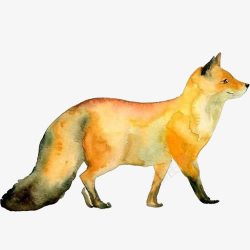 狐狸散步微笑水彩画素材