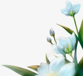 淡蓝色花朵png免抠素材_新图网 https://ixintu.com 淡蓝色 花朵 装饰画 鲜花