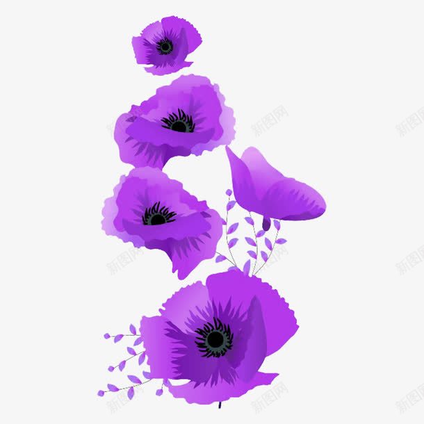 五爪金龙png免抠素材_新图网 https://ixintu.com 五爪金龙 植物 紫色花 花名 花朵 金龙图案