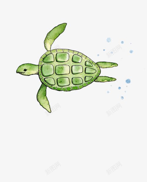 绿色的海龟png免抠素材_新图网 https://ixintu.com 海洋 海龟 游泳 绿色