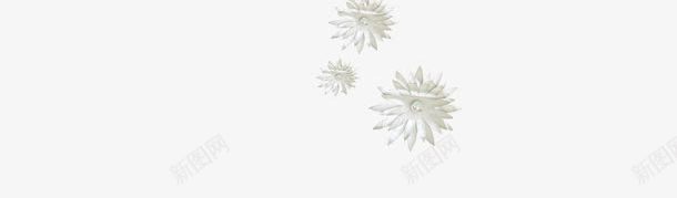 白花瓣背景装饰图案png免抠素材_新图网 https://ixintu.com 图案 白花瓣 背景装饰