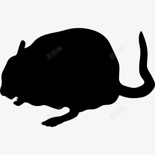 南美洲栗鼠动物形状图标png_新图网 https://ixintu.com 动物 动物王国 哺乳动物 形状 轮廓 龙猫